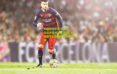 中国体育彩票|SPY黑马狂奔直指冠军宝座，欧洲赛季后赛晋级名单终揭晓