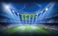 中国体彩|球门旁惊现猫咪访客，足球赛事意外暂停引全球关注