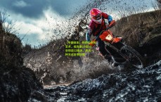 【中国体彩】铁匠的指挥艺术，福克斯19投15分却送12助攻，用另一种方式主宰比赛