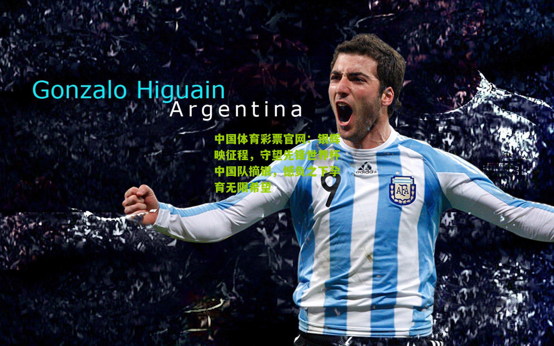 银辉映征程，守望先锋世界杯中国队摘银，憾负之下孕育无限希望