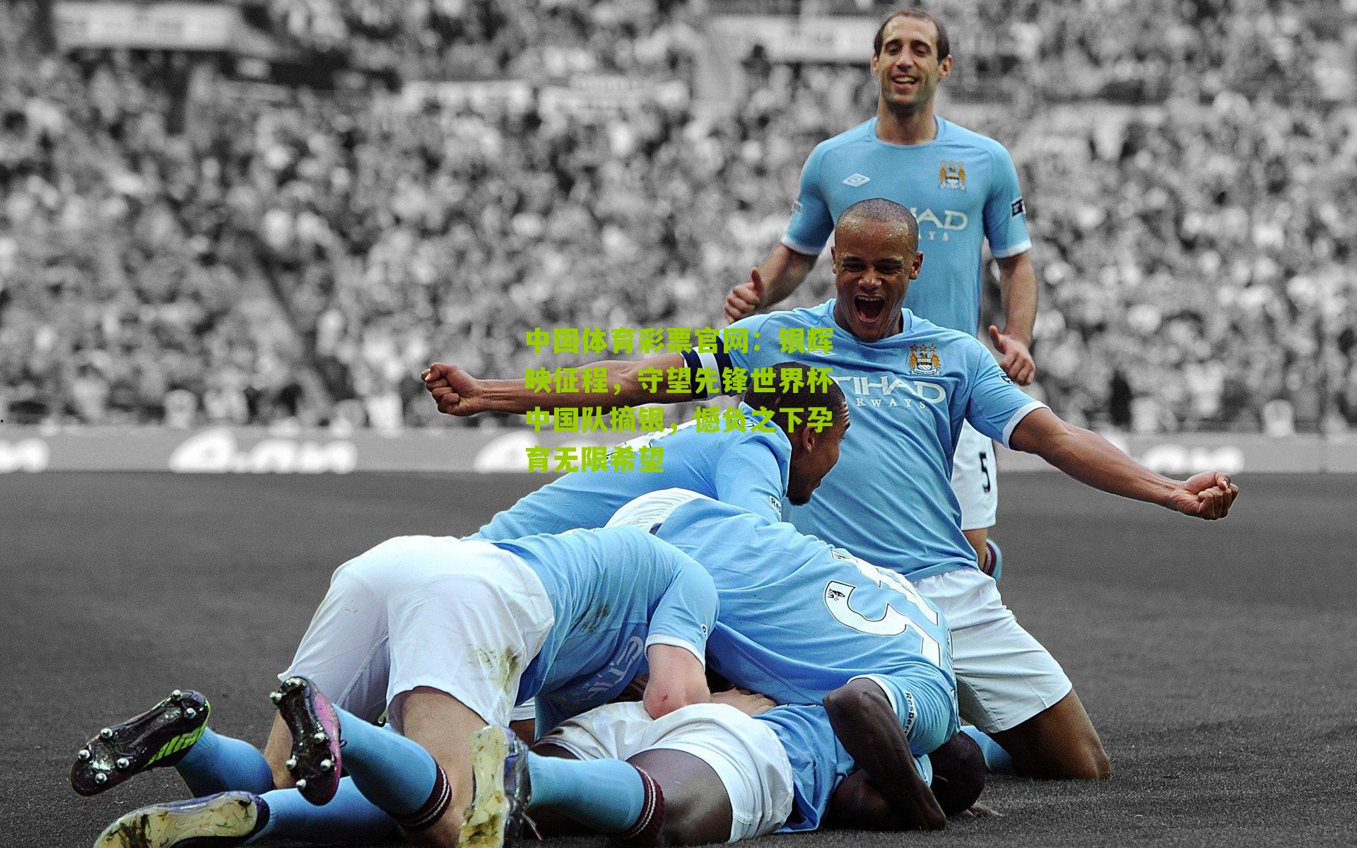 银辉映征程，守望先锋世界杯中国队摘银，憾负之下孕育无限希望