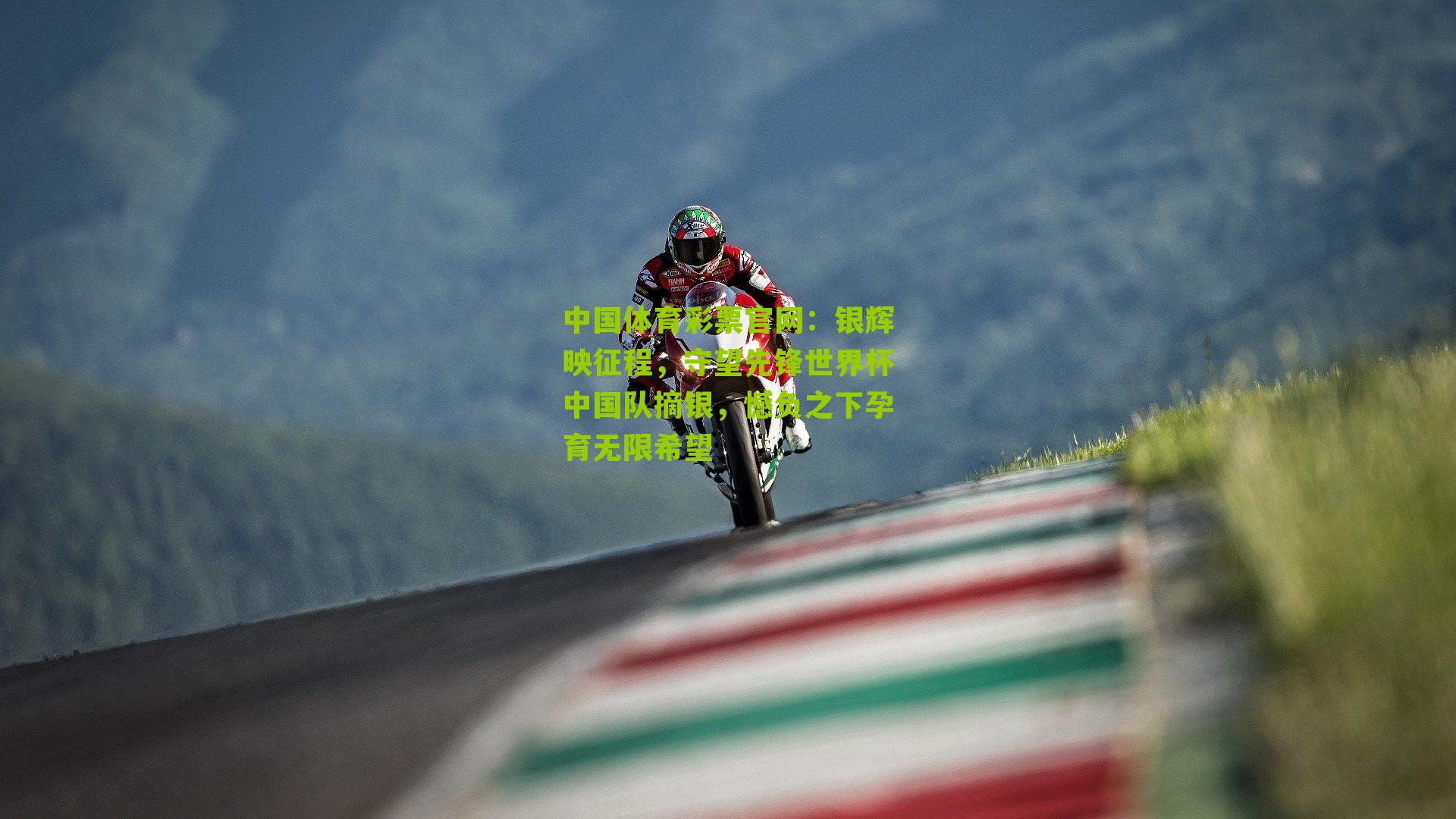 银辉映征程，守望先锋世界杯中国队摘银，憾负之下孕育无限希望